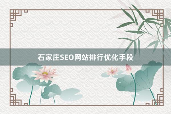 石家庄SEO网站排行优化手段