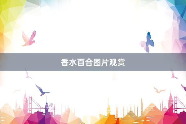 香水百合图片观赏