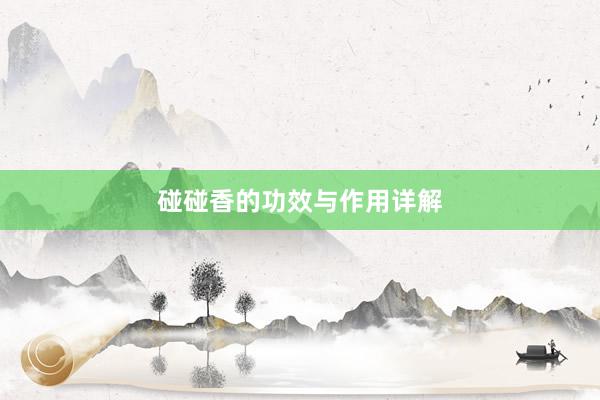 碰碰香的功效与作用详解