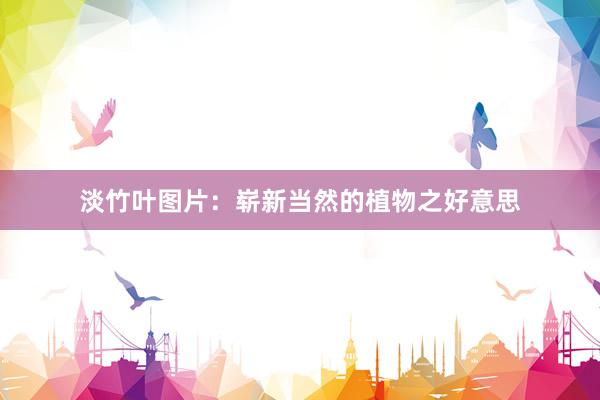 淡竹叶图片：崭新当然的植物之好意思